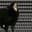 aaa cat