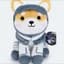 Asteroid The Space Shiba Inu