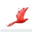 Bird.Money