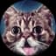 Lil Bub
