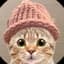 CatWifHat
