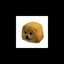Compressed dog