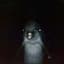 Gerald The Dolphin