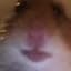 HAMI