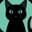Nacho the Kat