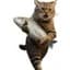Thief Cat