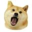 Doge Eat Doge