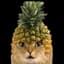 Pineapple Cat