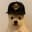 PUP (pupxbnb.com)