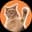 CatSlap