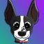 ADA the Dog