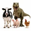 Animals In Crisis