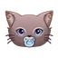 Baby Cat