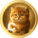 Baby Cat Coin