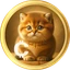 Baby Cat Coin
