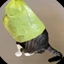 catwifbag