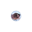 BISON
