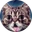 Lil Bub