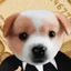 Business Coin