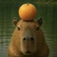 Official Capybara coin
