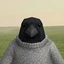 crowneck