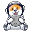 MOON DOGE