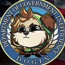 Department of Government Inefficiency