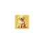 Golden Dog