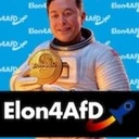 Elon4AfD