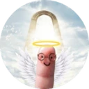 Fin 