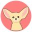 Fennec