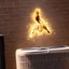 the flying squirrel