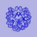 Clarity Protocol