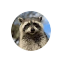 First Convicted RACCON