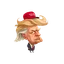Trump's Hair