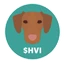 Hungarian Vizsla Inu