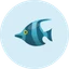 Marlin
