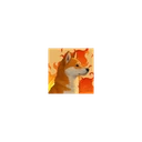 KAJI INU