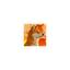 KAJI INU