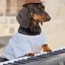 KEYDOG