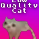 Low Quality Cat