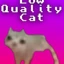 Low Quality Cat