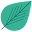 Lyptus Token