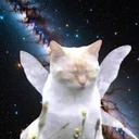 Manifest