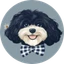 Marvin Inu