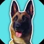 Dog Picasso