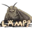 Moth