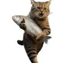 Thief Cat