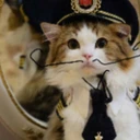 Neuracat