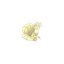 Ninetales